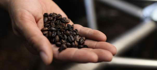 Kaffebönor