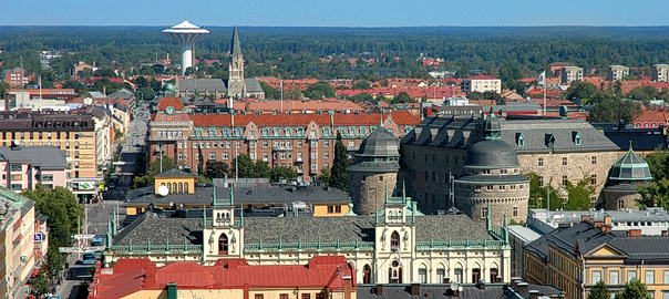 Svampen